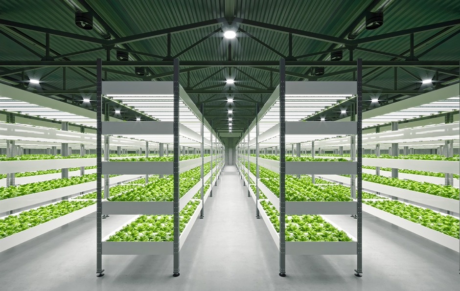 德赢·(VWIN)官方网站-AC米兰官方相助同伴