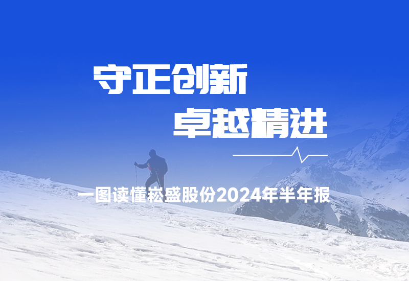 一图读懂 ▏德赢VWIN股份2024年半年报